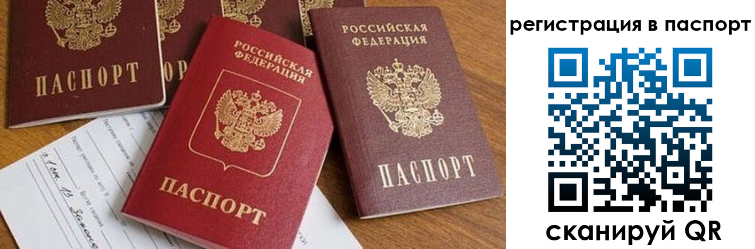 временная прописка в Курске